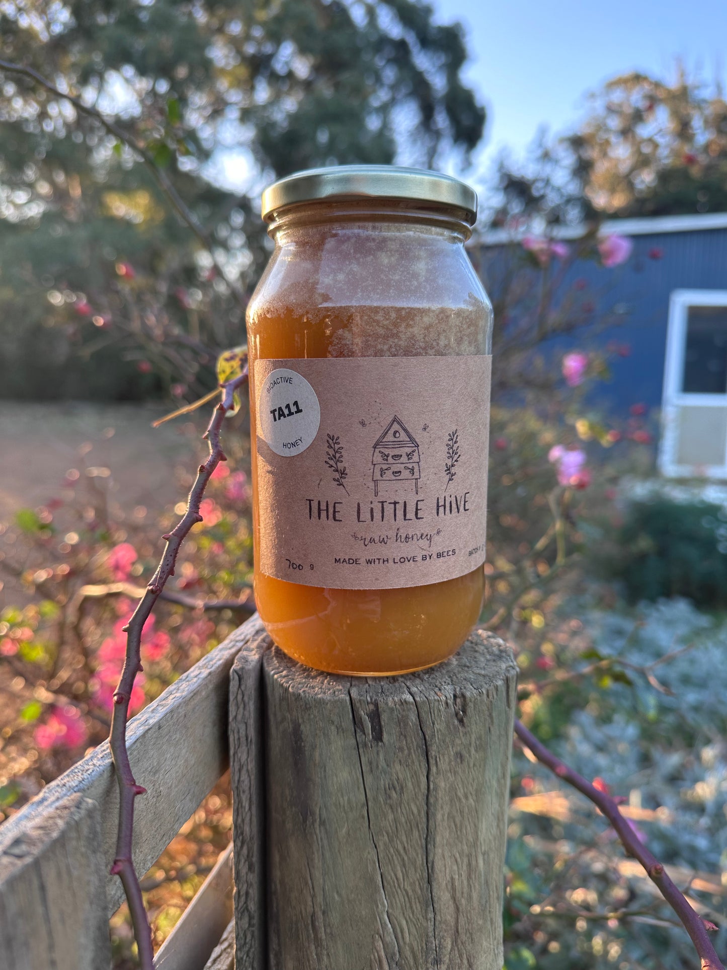 Medicinal Honey
