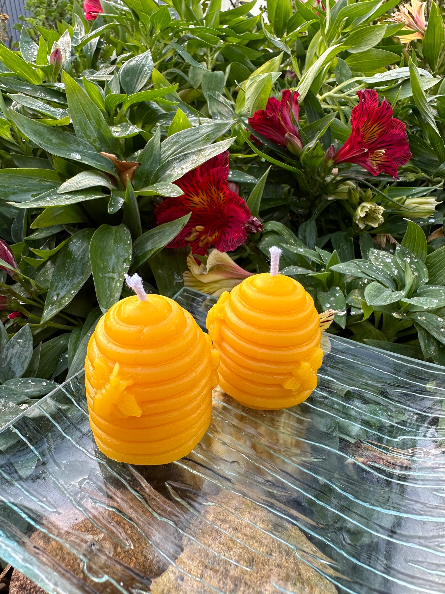 Candle Small Hive