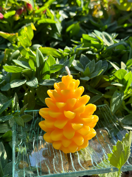 Candle Medium Pinecone