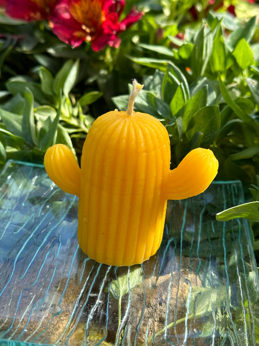 Candle Small Cactus