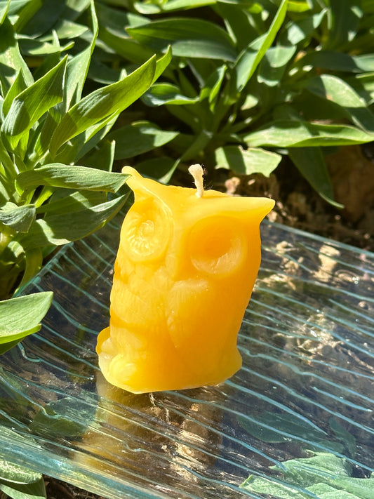 Candle small Owl