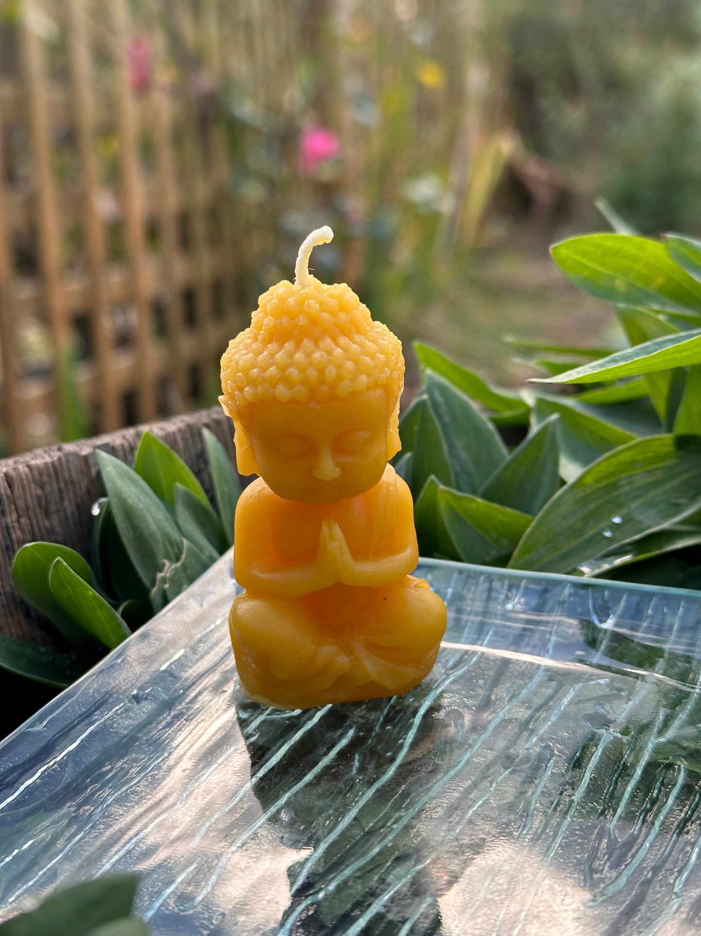 Buddha large