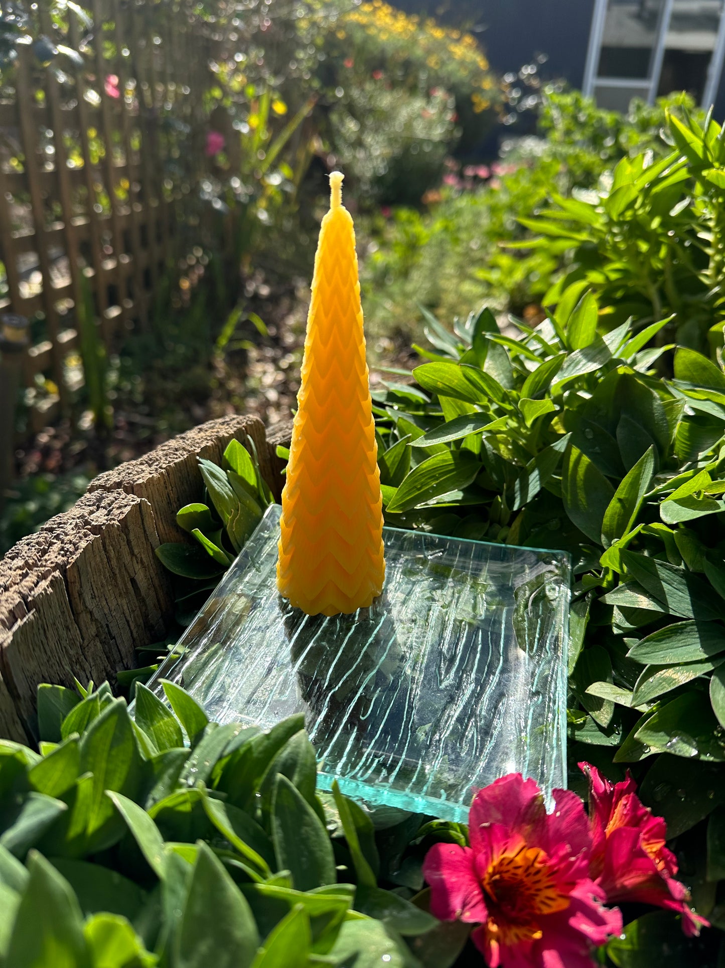Candle medium Fairy Tree