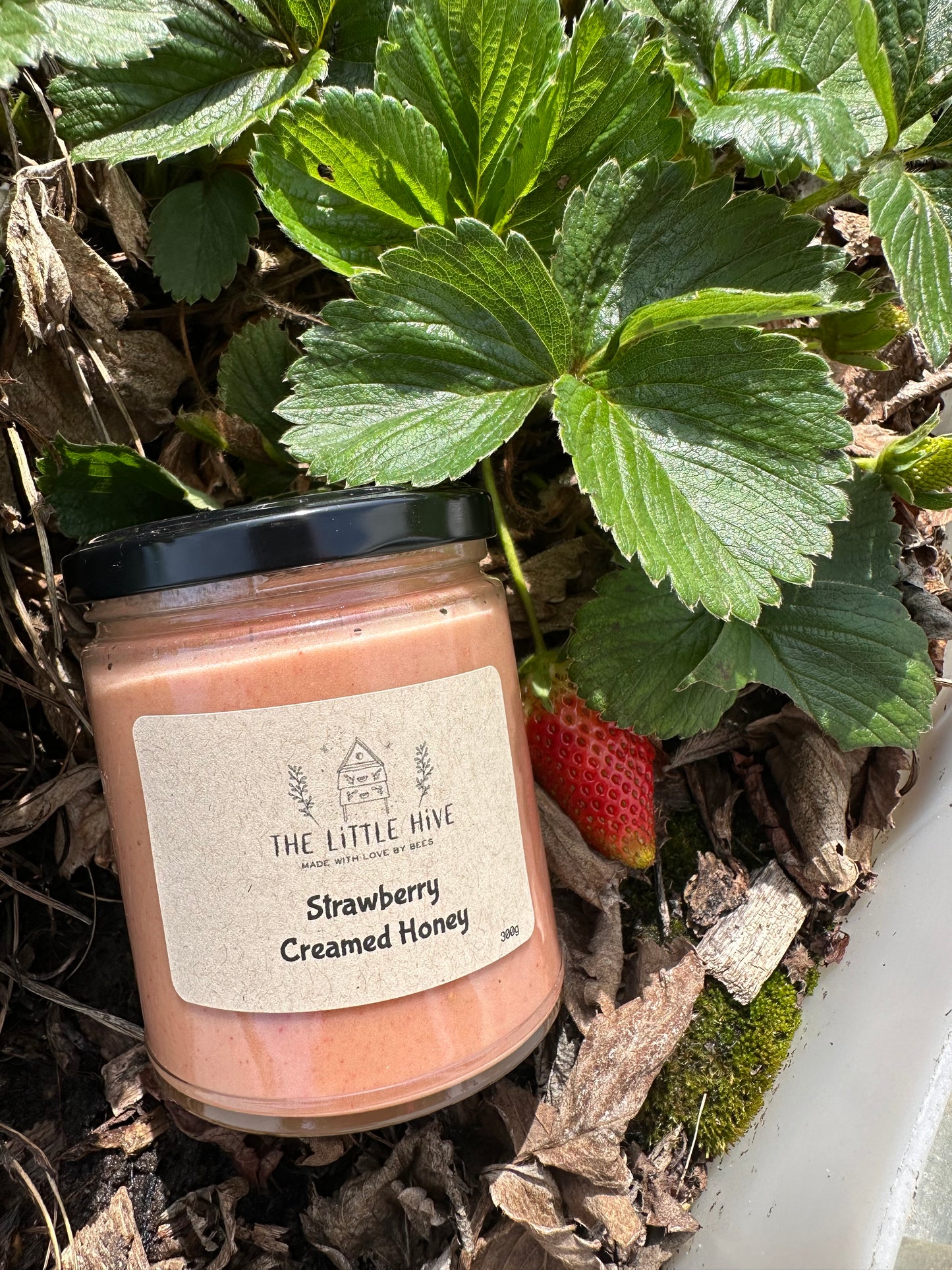 Creamed Strawberry Honey 300g