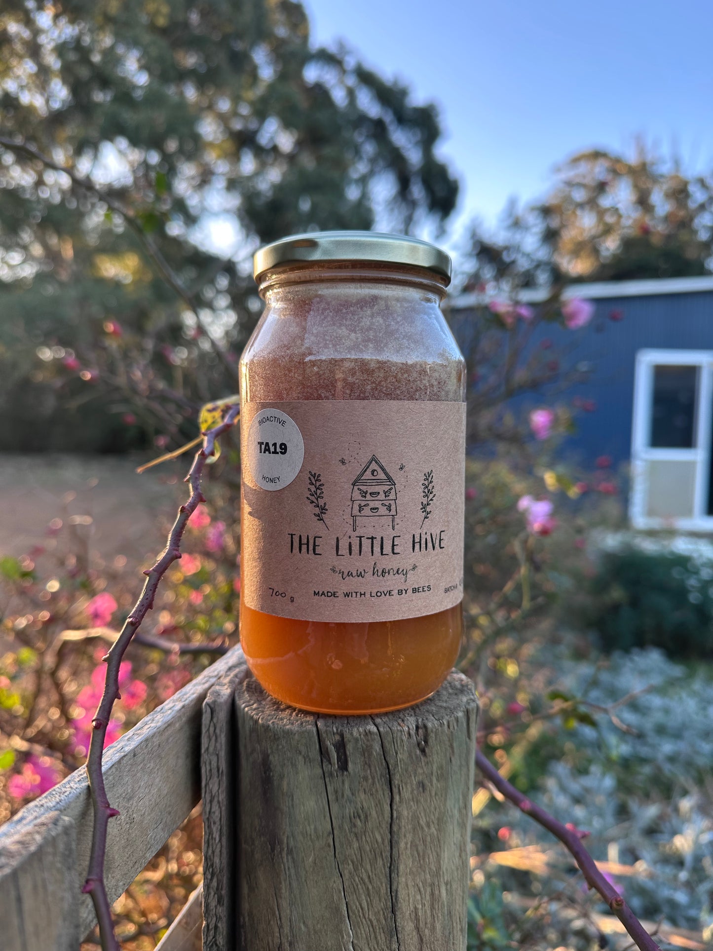 Medicinal Honey